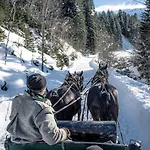 Bergchalet Breitenberg Alpesi faház Bad Hofgastein
