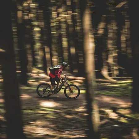 Bergchalet Breitenberg