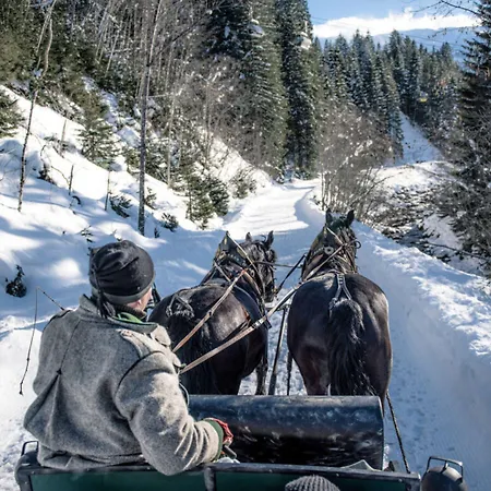 Bergchalet Breitenberg 샬레 배드호프가스타인