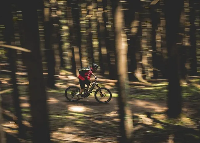 Bergchalet Breitenberg