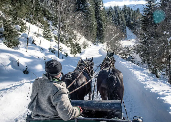 Bergchalet Breitenberg Alpstuga Bad Hofgastein